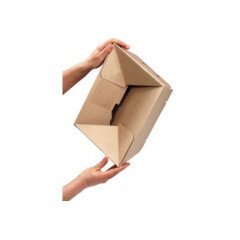 10x Carton automatique variable A4 (304x216x130-220) BAV201  - 4