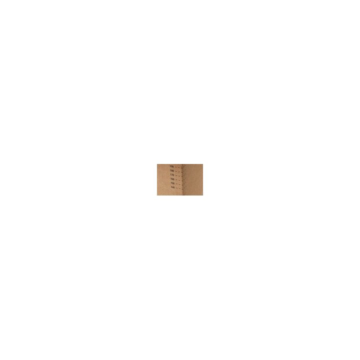 10x Carton automatique variable A4 (304x216x130-220) BAV201  - 6