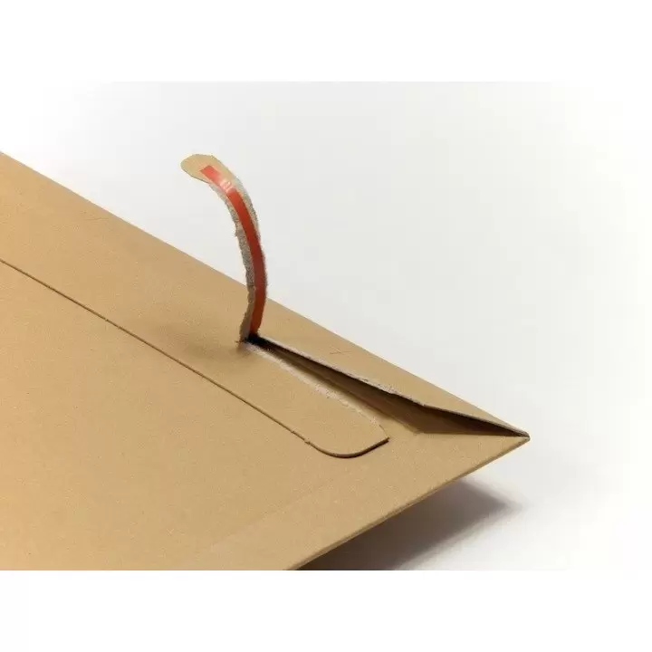 200 enveloppes cartons BBX2 215 x 270mm - 3