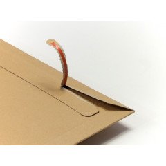 200 enveloppes cartons BBX2 215 x 270mm  - 3