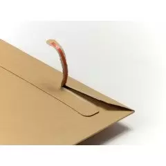 200 enveloppes cartons BBX2 215 x 270mm - 3