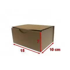 Boite postale carton 15 x 10 x 7 cm (150x100x70mm)