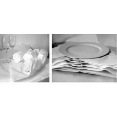 Paquet 250 feuilles papier de soie recyclé 500 x 750mm - 2