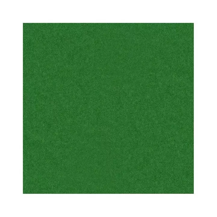  feuilles vert sapin mousseline papier de soie 50x75cm