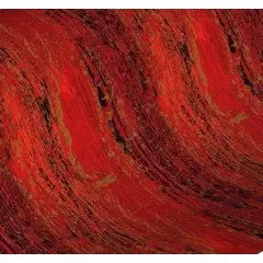 Rouleau papier cadeaunoir Rouge Or