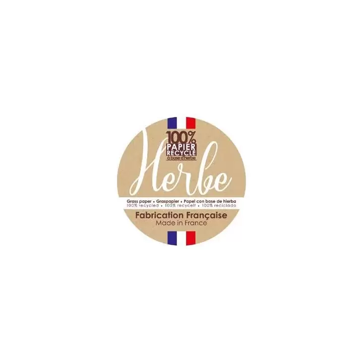 sac kraft poignées torsadées