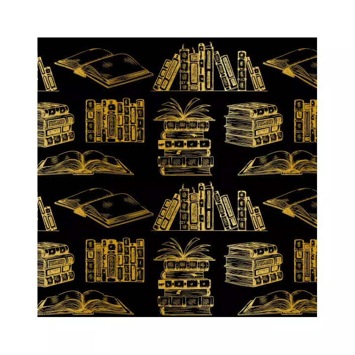 Papier cadeau motif livre bd bouquin album atlas noir et or
