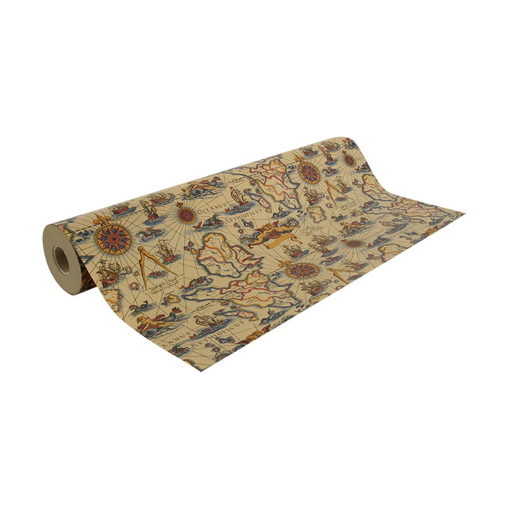Un rouleau 50 mètres papier cadeau kraft motif carte marine océan continent et monstre marin