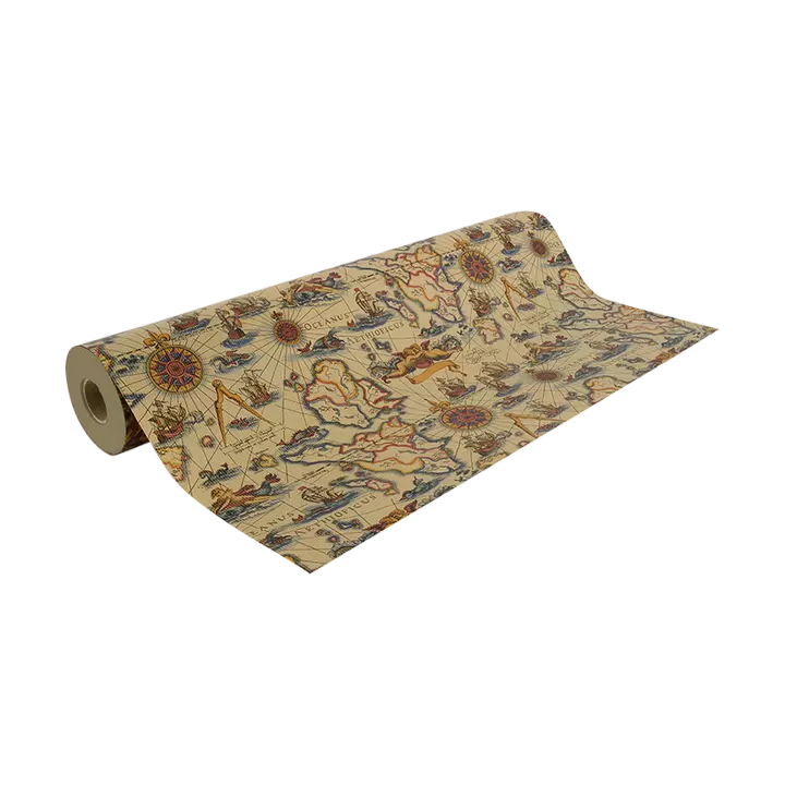 Un rouleau 50 mètres papier cadeau kraft motif carte marine océan continent et monstre marin