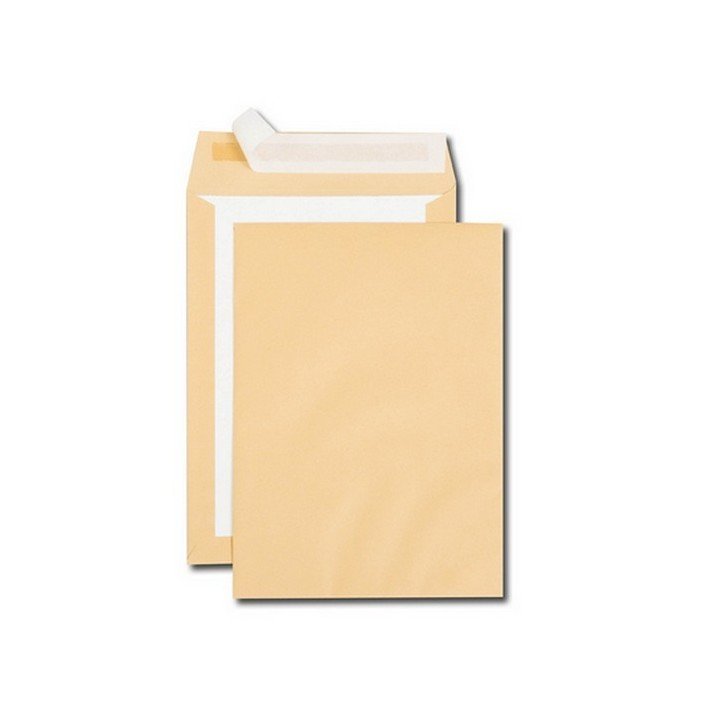 100 enveloppes kraft brun DOS CARTON format 24 (260x330mm)