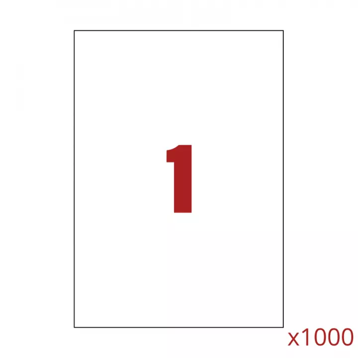 1000 étiquettes multi usages / 100 pages de 1 étiquette