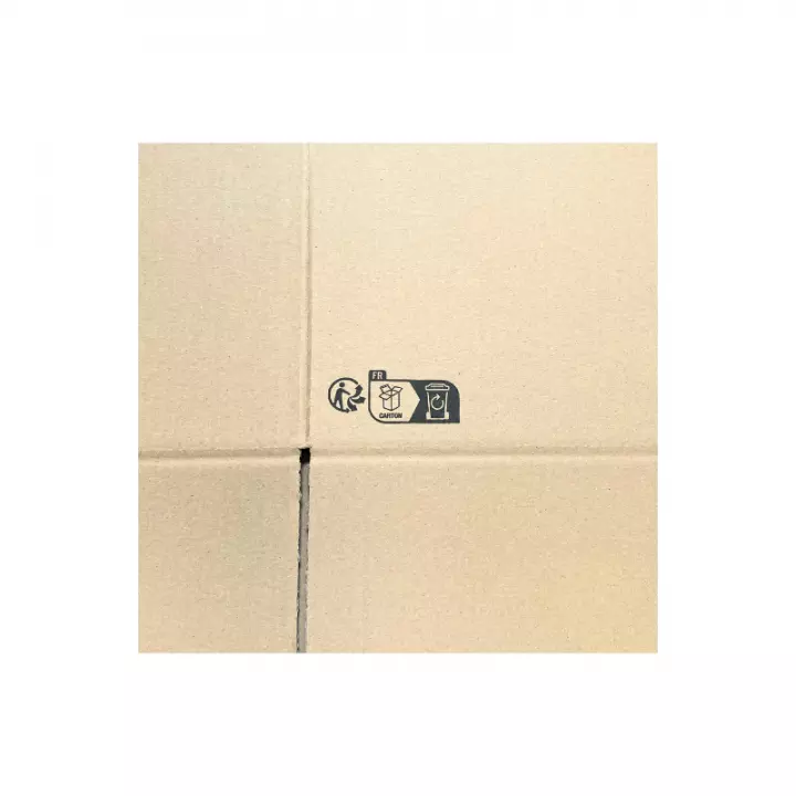 Grand carton 80 cm avec Triman logo