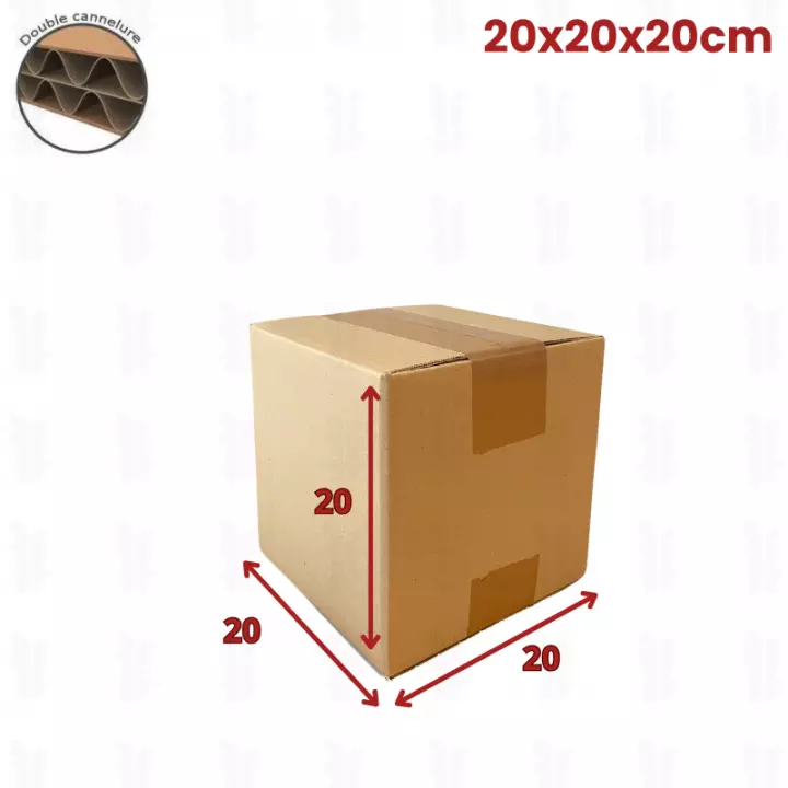 10 cartons double cannelure 20x20x20cm caisses américaines