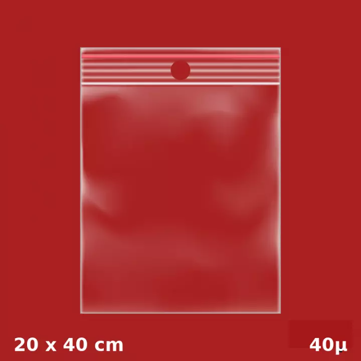 1000 sachets plastiques Zip 200x400 mm 40µ avec trou de suspension