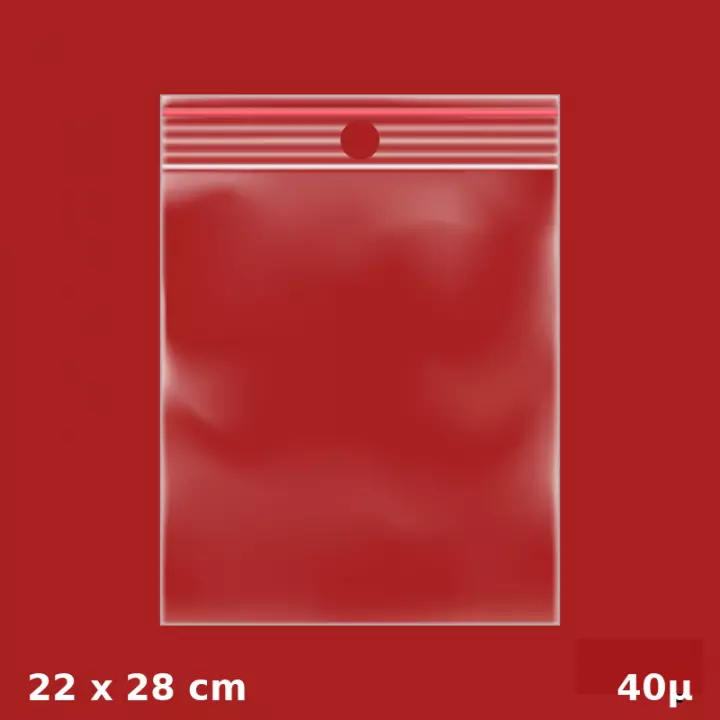 1000 sachets plastiques Zip 220x280 mm 40µ avec trou de suspension