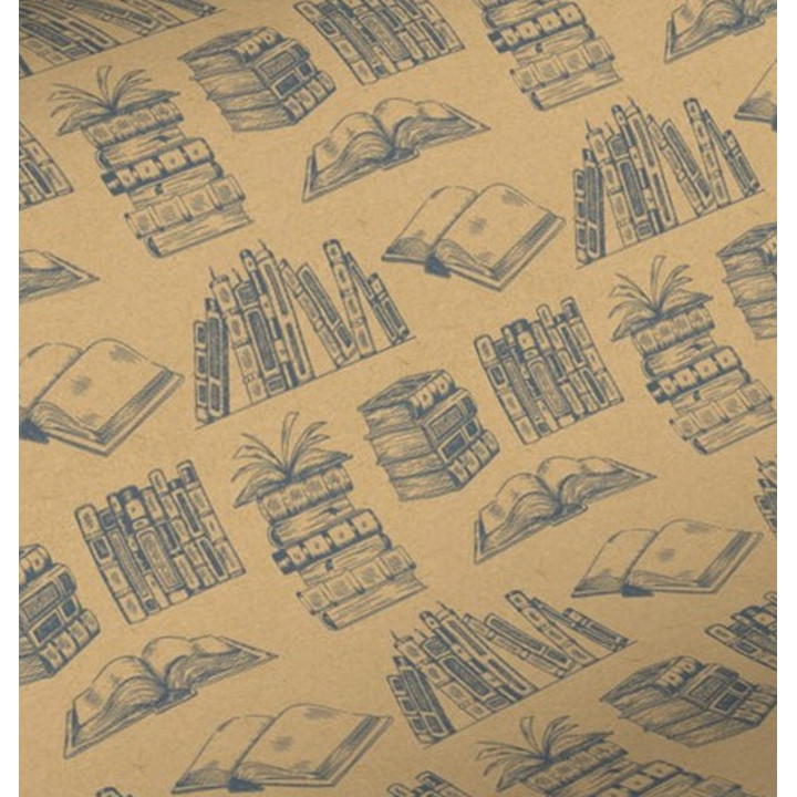 papier kraft emballage cadeaux motif livre 7393KL