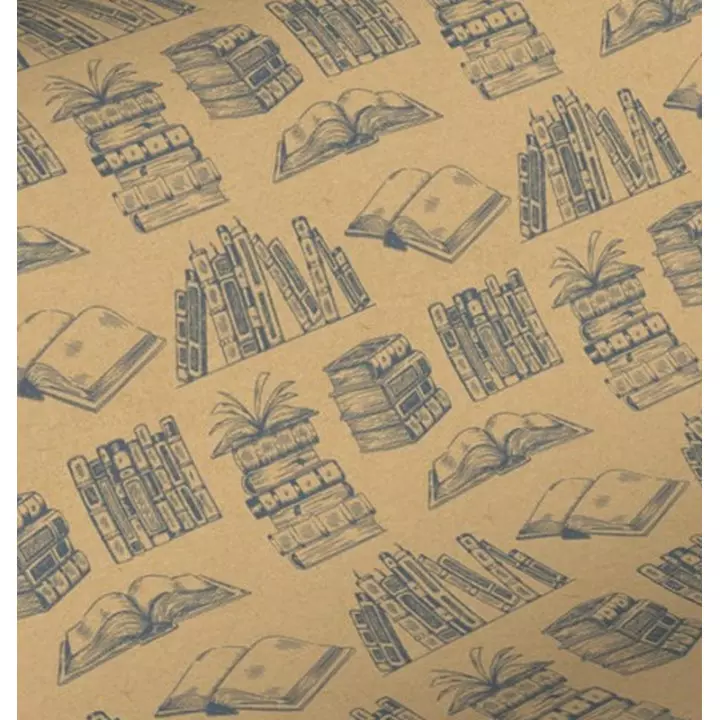 papier kraft emballage cadeaux motif livre 7393KL