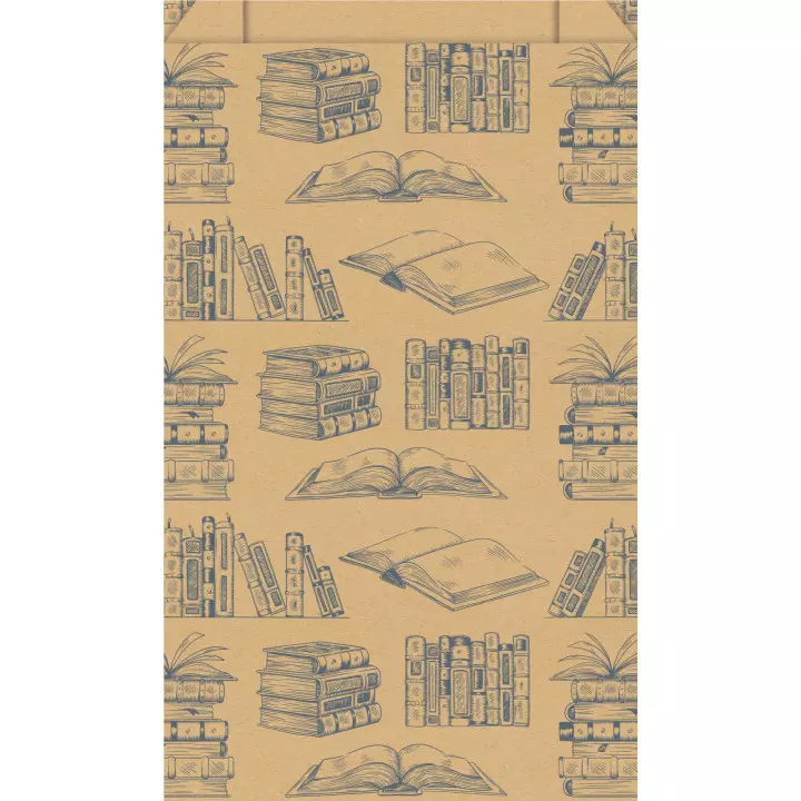 250 sachets cadeaux pochettes kraft 70g LIVRES 12x4,5x20cm