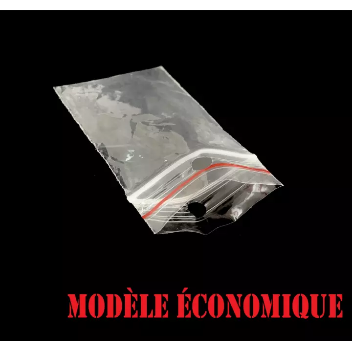 1000 sachets plastiques Zip 250x300 mm Eco avec trou de suspension bande rouge