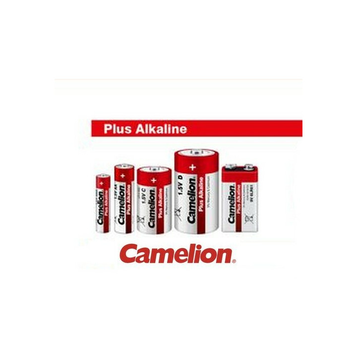 Lot de piles panaché Alcaline Camelion LR6 AA LR3 AAA R14 R20 9V (48 blisters)