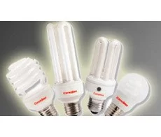 Ampoules Fluocompactes Camelion