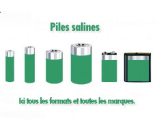 Piles salines Philips Varta Camelion Panasonic