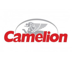 Piles Camelion AA LR6 AAA LR3 C LR14 D LR20 9V 6LF22